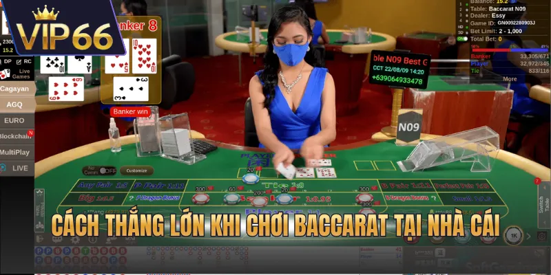 Cách thắng lớn khi chơi baccarat tại nhà cái