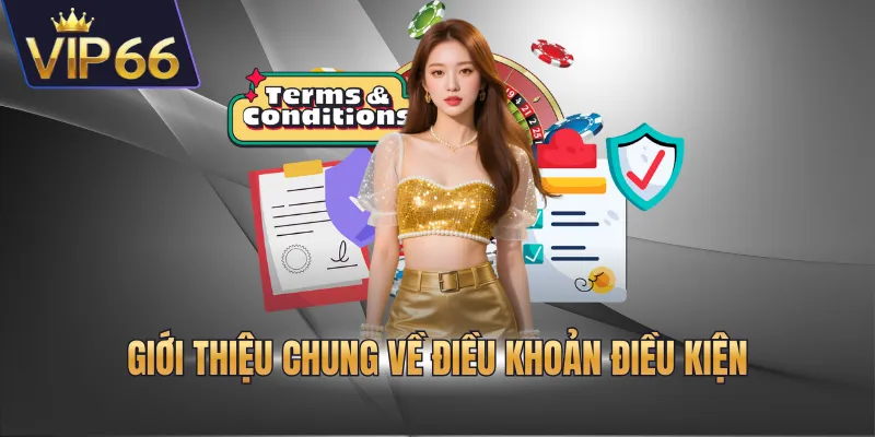 Giới thiệu chung về điều khoản điều kiện