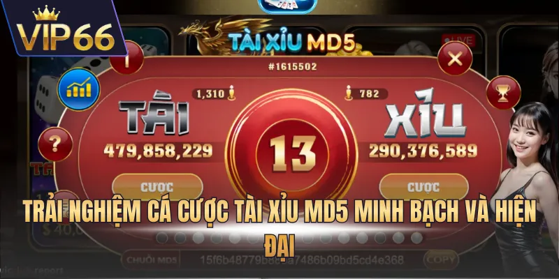 Trải nghiệm cá cược tài xỉu MD5 minh bạch và hiện đại
